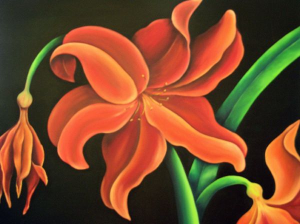 Painted Lilies Set 08 - 71 x A4 Pages to Download